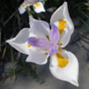 Meet your Posher, Katherine